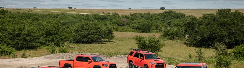 Orange pickups on a farm road